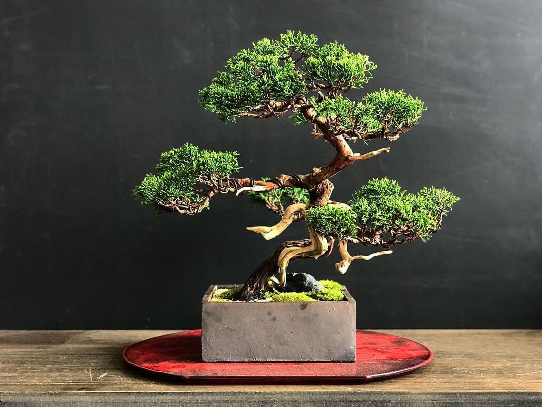 植物育成ライト専門店BARREL公式サイト